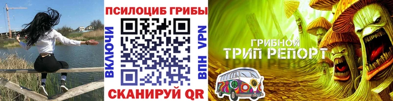 Галлюциногенные грибы Magic Shrooms  наркотики  Теберда 